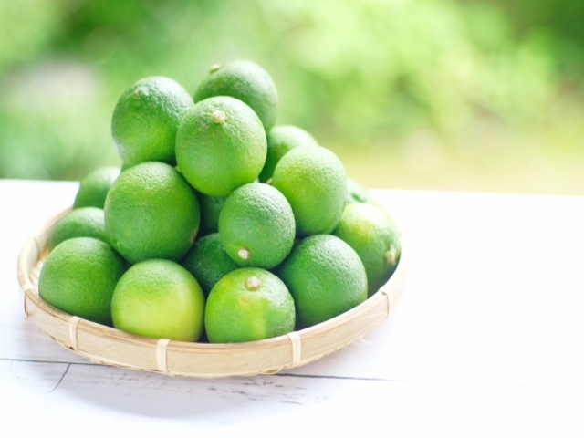 大分県の風景：カボス